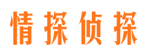 康保市调查公司